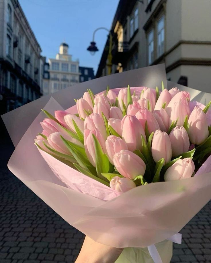 Tulips